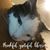 Tracey Taylor's profile image