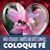 Maria Walrath's profile image