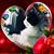 Marjorie Vershay-wagner's profile image