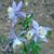 Marcel Hoke-Harvey's profile image
