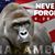Trevor Howard's profile image