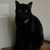 Annette Mahoney-Devine's profile image