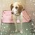 Alice Schoenrock's profile image