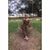 Rebecca Doyne's profile image