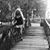 Jeannie Lynn Blair's profile image