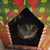 Madeline Meadows's profile image