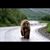 Debra Klemme's profile image