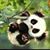 J Jacky Montes Monarrez's profile image