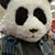 Jon Bitz's profile image