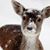 Susan M Keefer's profile image