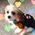 Debbie Bynum Brown's profile image