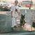 Betsy Maiorano's profile image