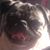 Dawn Taylor's profile image