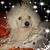 Lulu Lieck's profile image