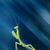 Mary Roger's profile image