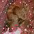 Patty Zitello DiFulio's profile image