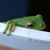 Jody Waters Hall's profile image