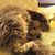 Wendy Darling's profile image