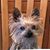 Christie Cook's profile image