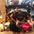 Danielle Nassr Swafford's profile image