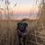 Diane Crawford Gorton's profile image