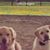 Audrey Sparks's profile image