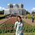 Laura P. Tovar's profile image