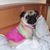 Sheri Brooks's profile image