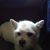 Glenn Roseboro's profile image