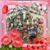 Diane Upchurch's profile image