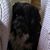 Mary Anne Milburn's profile image