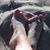 Lindy Hawkins Baxter's profile image