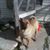 Dena Lee Criddle's profile image