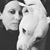 Tracy Cataract's profile image