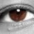 Miguel Torres's profile image
