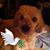 Marilia Coelho's profile image
