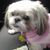 Kathleen Slattery's profile image