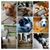 Leta Greer's profile image