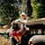 Britt Garcia's profile image