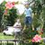 Pam Fitch's profile image