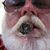 Marlon Seppala's profile image