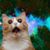 Sydney Crawford's profile image