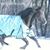 Revy Benson's profile image