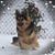 Teresa Cowan-Christen's profile image