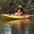 Sharon Hause's profile image