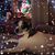 Lucette Marie Wojciechowski-burnis's profile image