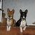 Barbara Bixler's profile image