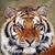 Paul Khourisader's profile image