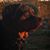 Christine Nicasio's profile image