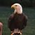 Frenda Sanders Baker's profile image